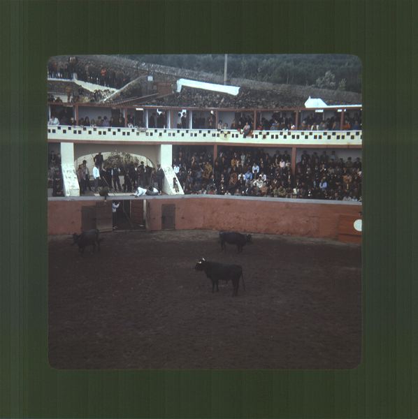 scan0015.jpg