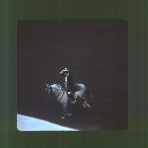 scan0017.jpg