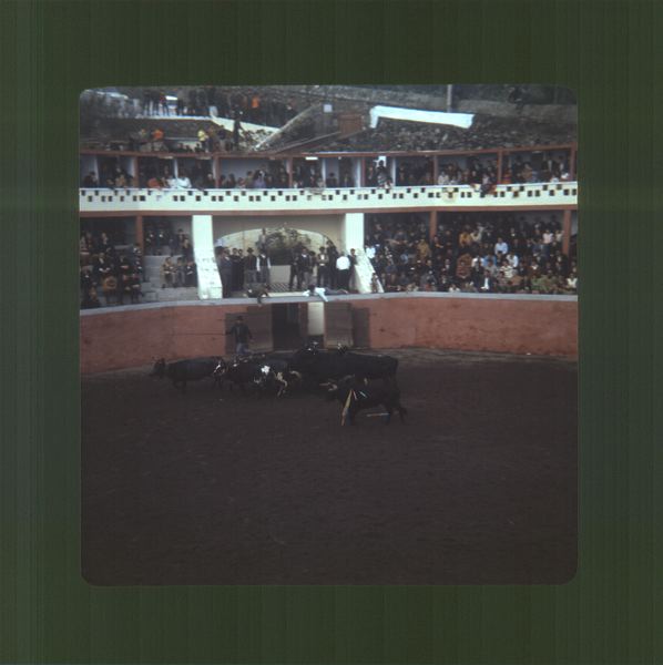 scan0020.jpg