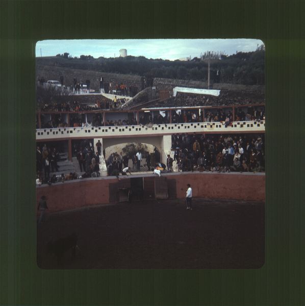 scan0021.jpg