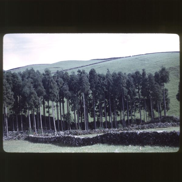 scan0037.jpg