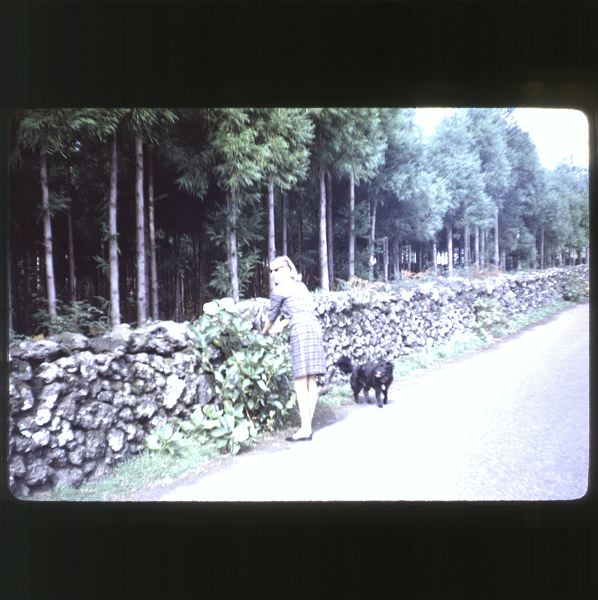 scan0040.jpg