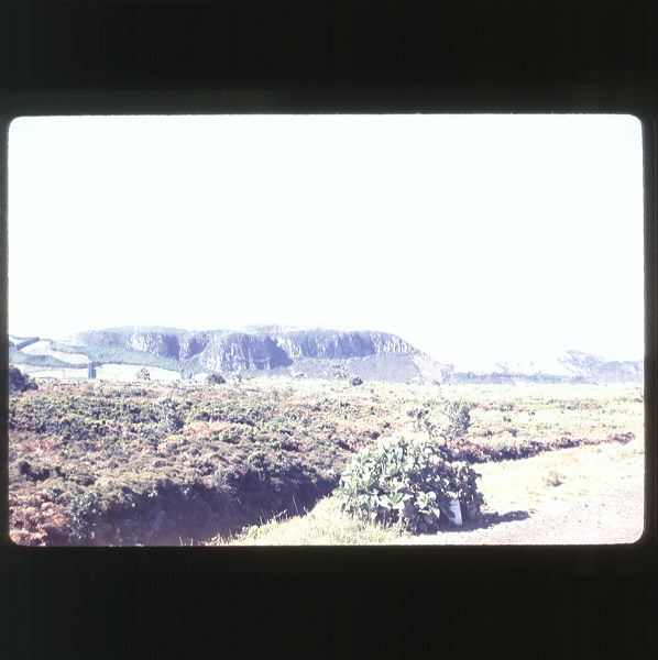 scan0043.jpg