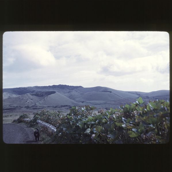 scan0046.jpg