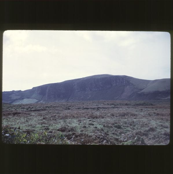 scan0047.jpg