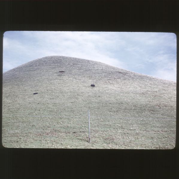 scan0048.jpg
