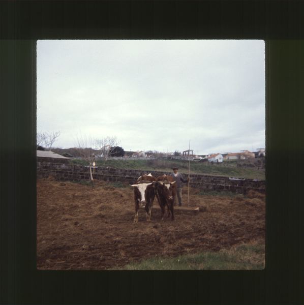 scan0049.jpg