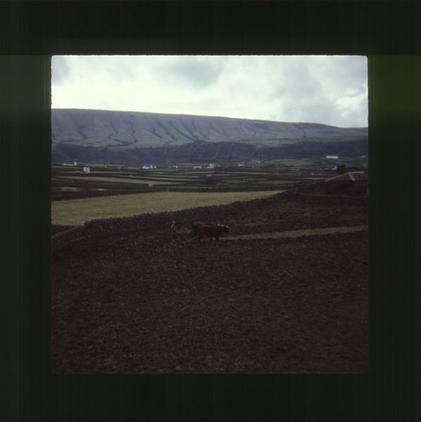 scan0050.jpg