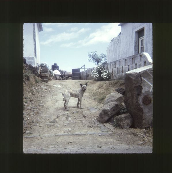 scan0052.jpg