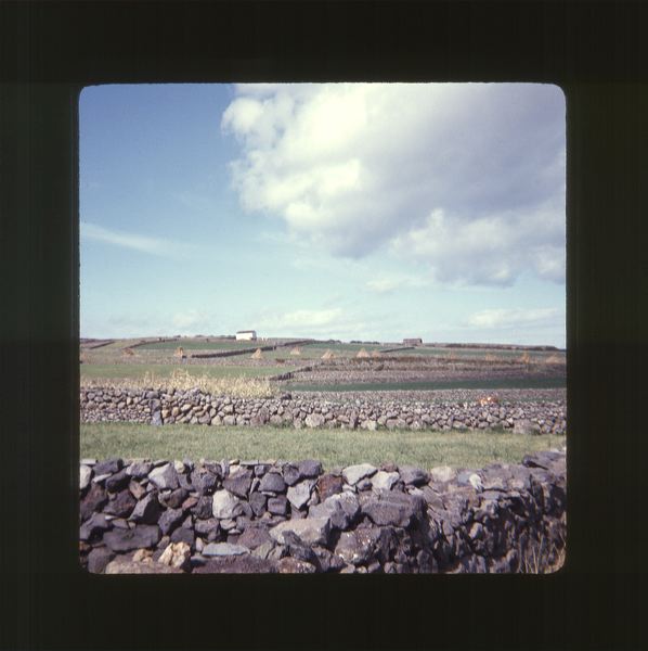 scan0053.jpg