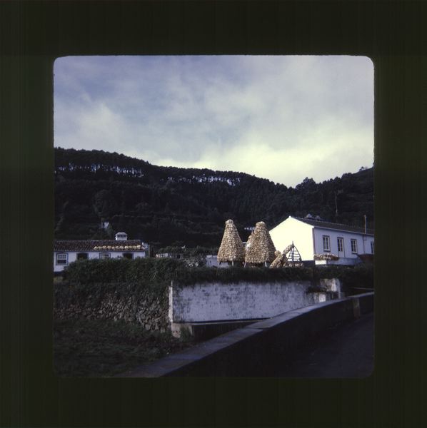 scan0055.jpg