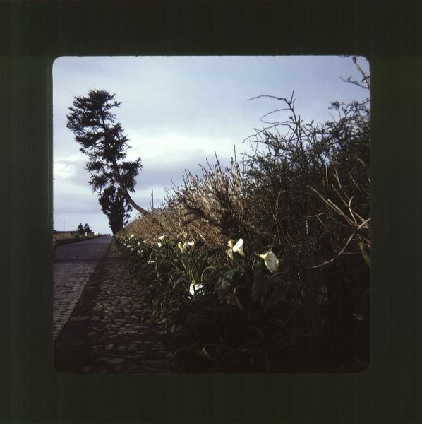 scan0057.jpg