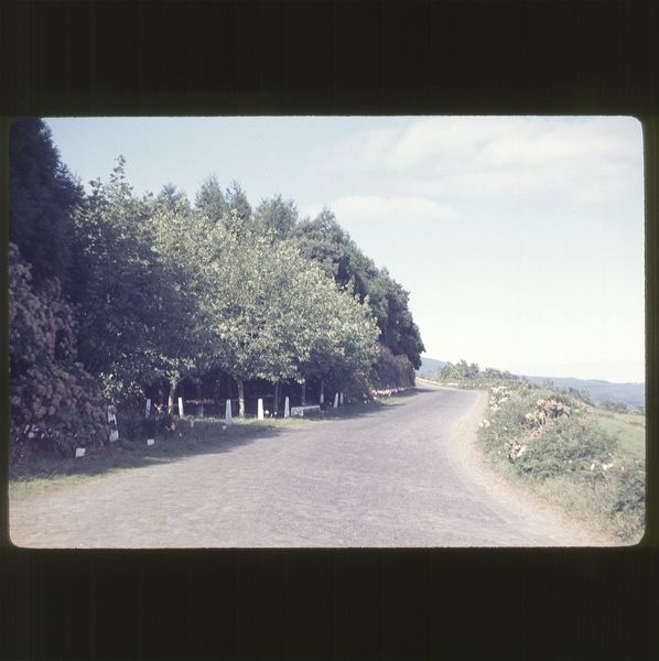 scan0059.jpg