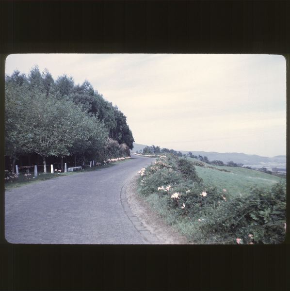 scan0060.jpg