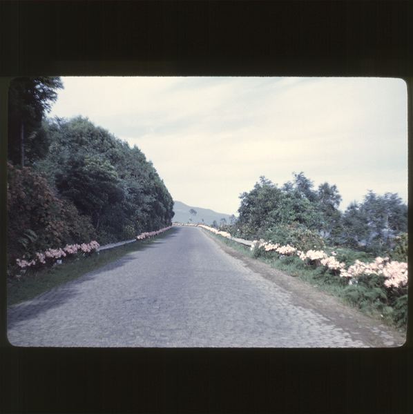 scan0061.jpg