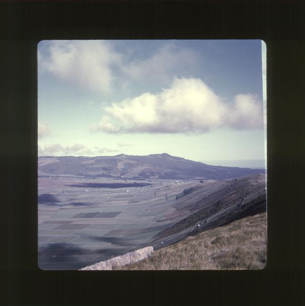 scan0062.jpg