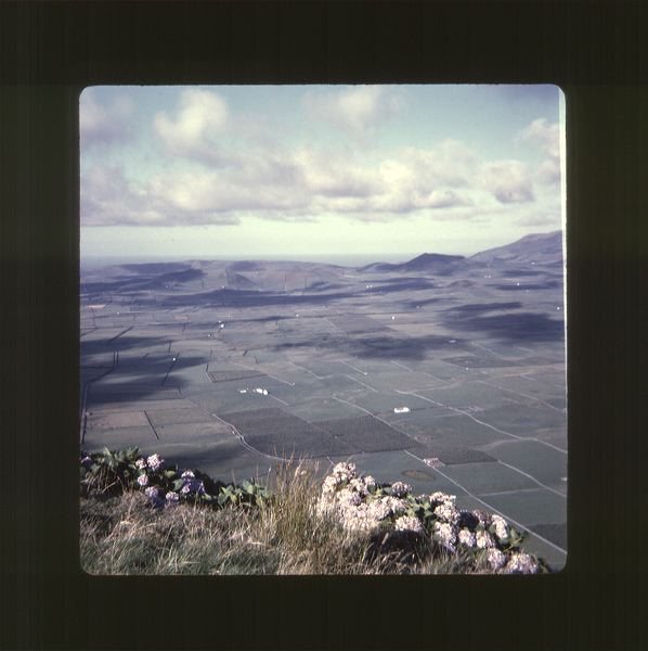 scan0064.jpg