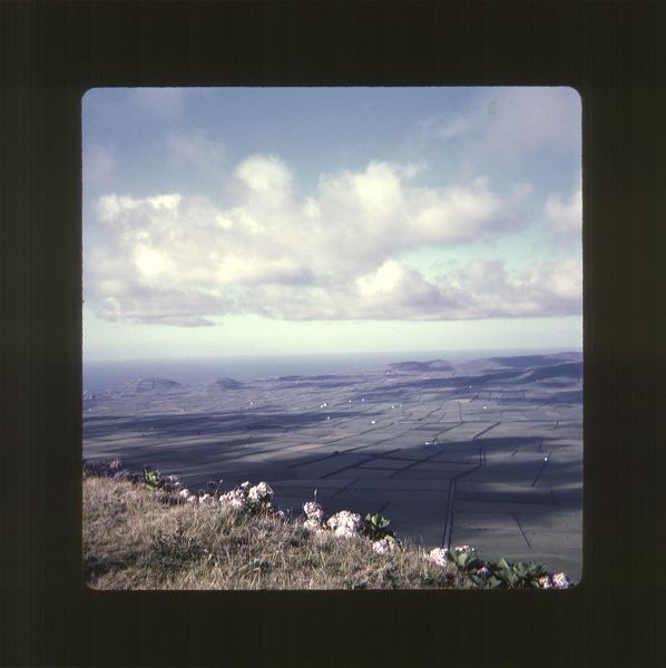 scan0065.jpg