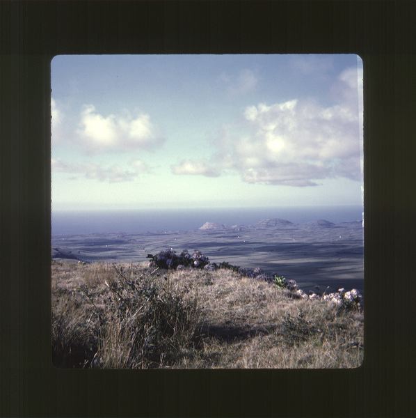 scan0066.jpg