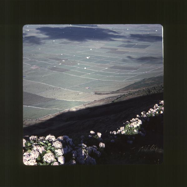 scan0068.jpg