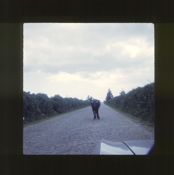 scan0070.jpg