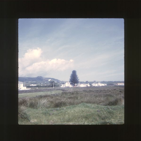 scan0077.jpg