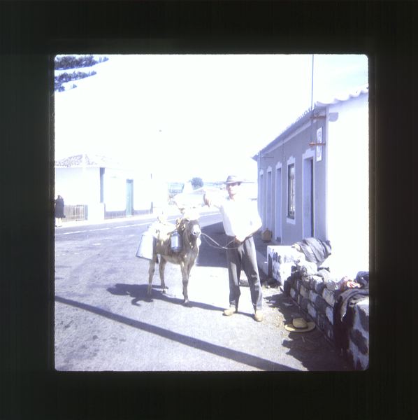 scan0078.jpg