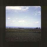 scan0070