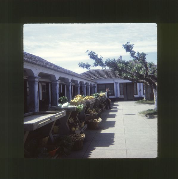 scan0066.jpg