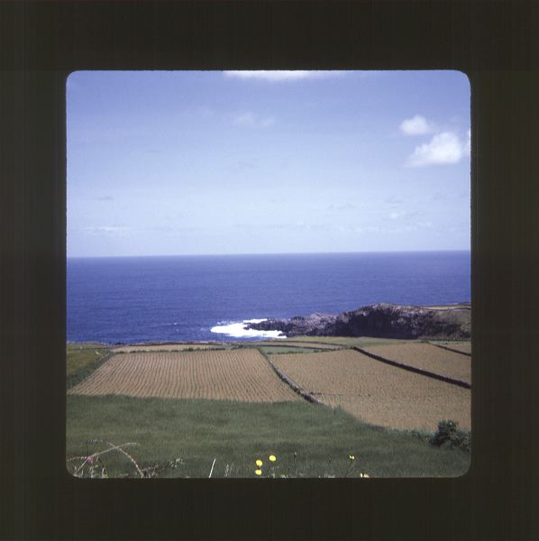 scan0073.jpg