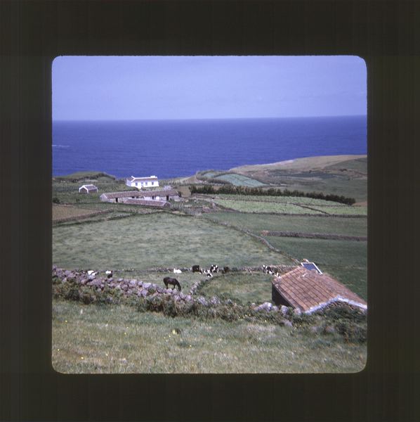 scan0075.jpg