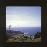 scan0003