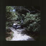 scan0004