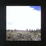 scan0042