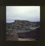 scan0059