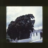 scan0062