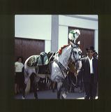 scan0063
