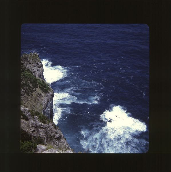 scan0001.jpg