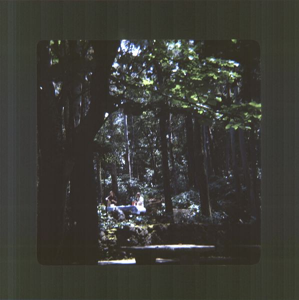scan0005.jpg