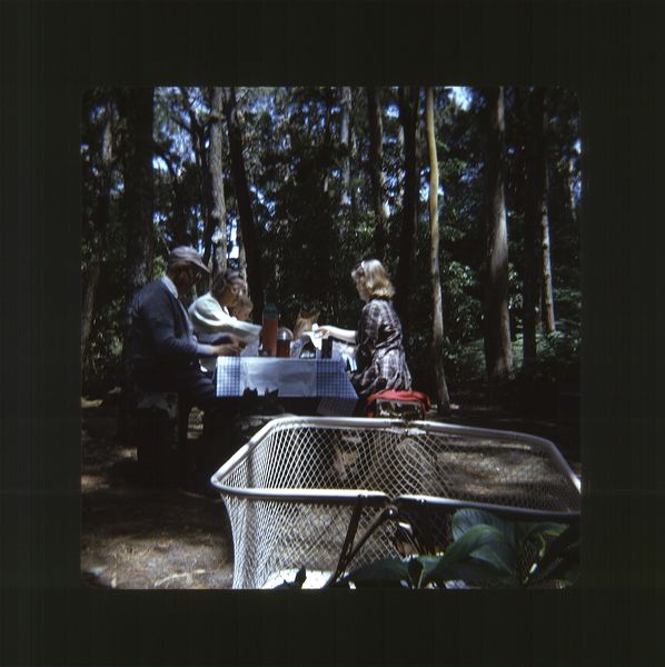 scan0007.jpg