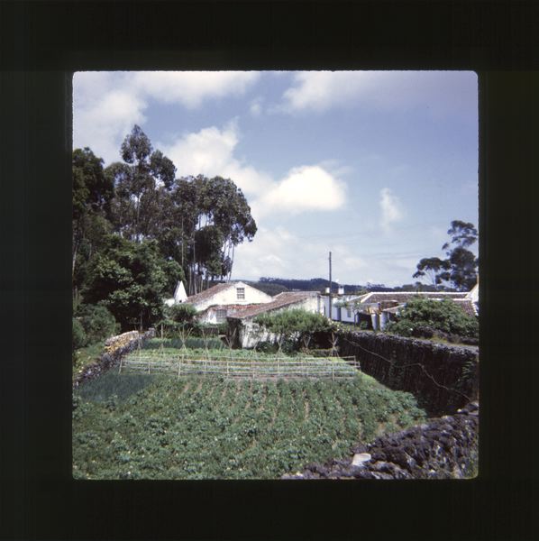 scan0036.jpg