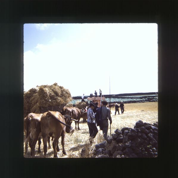 scan0044.jpg