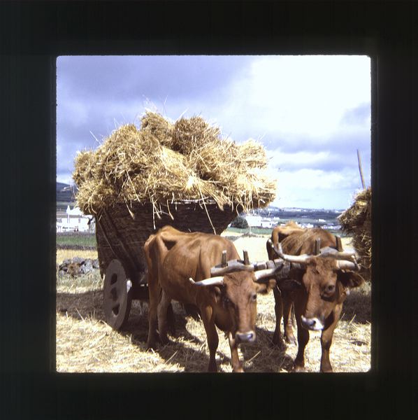 scan0045.jpg