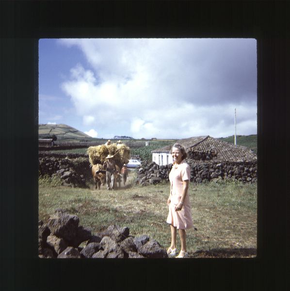 scan0046.jpg