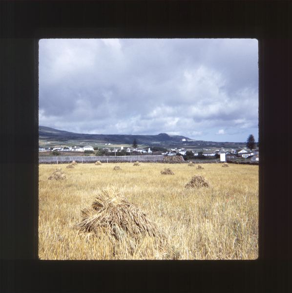 scan0051.jpg