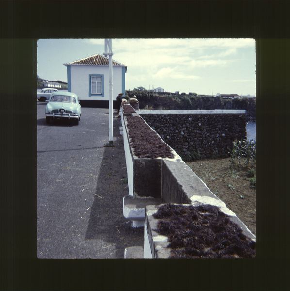 scan0055.jpg