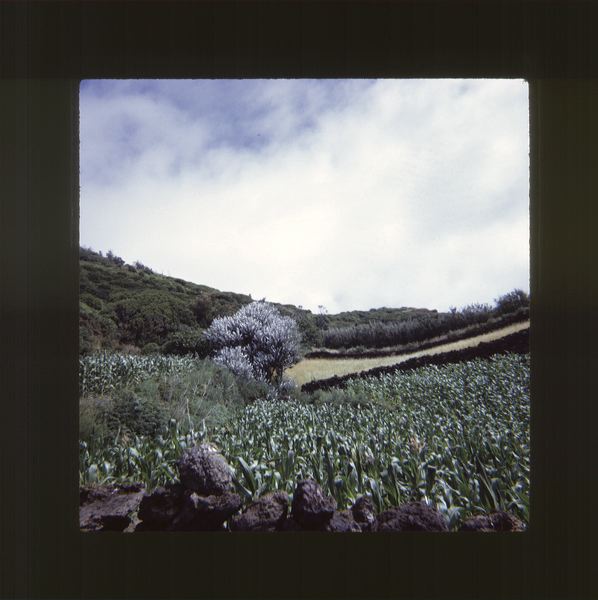 scan0057.jpg