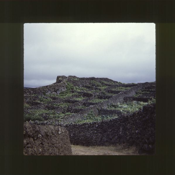 scan0059.jpg