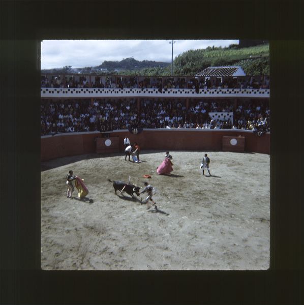 scan0077.jpg