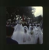 scan0019